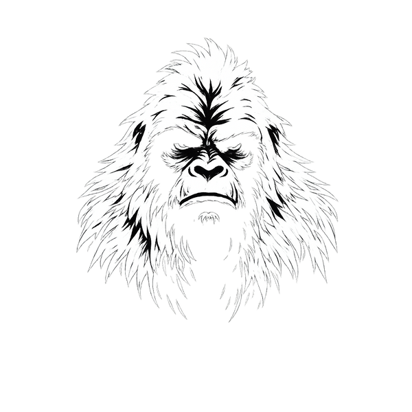THE YETI HOUSE